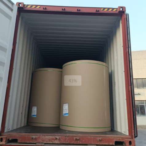 原木卷纸、纸张可以走集装箱海运吗，，需要注重什么？？？