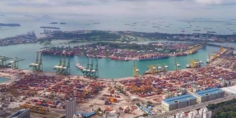 PP电子·5金狮(中国区)游戏官方网站