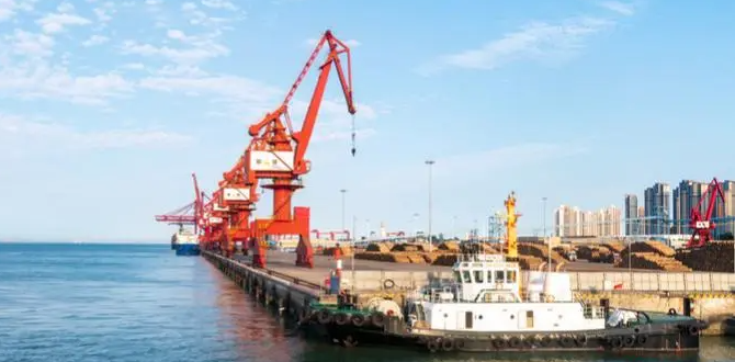 PP电子·5金狮(中国区)游戏官方网站