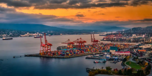 PP电子·5金狮(中国区)游戏官方网站