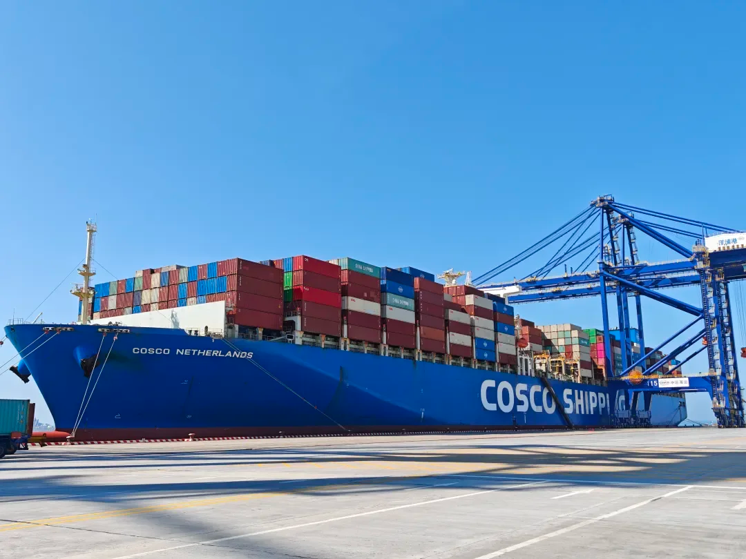 PP电子·5金狮(中国区)游戏官方网站