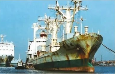 PP电子·5金狮(中国区)游戏官方网站