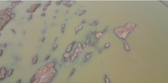 PP电子·5金狮(中国区)游戏官方网站