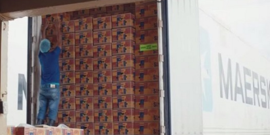 PP电子·5金狮(中国区)游戏官方网站