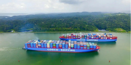 PP电子·5金狮(中国区)游戏官方网站